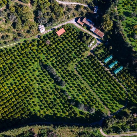 Operazione immobiliare Zona tranquilla